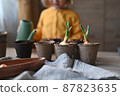 concept of gardening. little girl is engaged in planting seeds for seedlings, pouring earth into pots for growing crops. 87823635