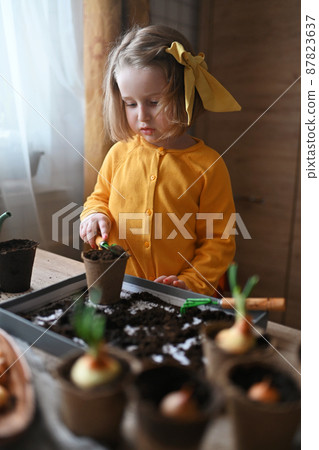 concept of gardening. little girl is engaged in planting seeds for seedlings, pouring earth into pots for growing crops. 87823637