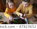 Happy children are planting plants at home. girl and boy sow seeds in natural gardening pots. 87823652