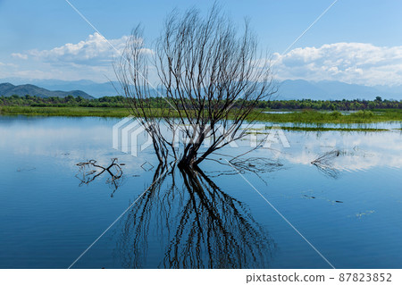 Beautiful sea landscapes in Montenegro Beautiful sea landscapes in Montenegro 87823852