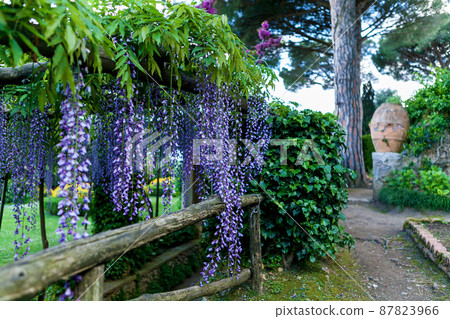 Vila Cimbrone in Ravello, Italy. 87823966