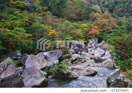 《島根縣》縣立自然公園 魔舌顫抖的風景【11月】 《島根縣》縣立自然公園 魔舌顫抖的風景【11月】 87825041