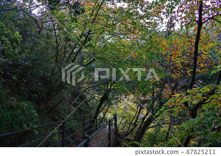 《島根縣》縣立自然公園 魔舌顫抖的風景【11月】 《島根縣》縣立自然公園 魔舌顫抖的風景【11月】 87825211