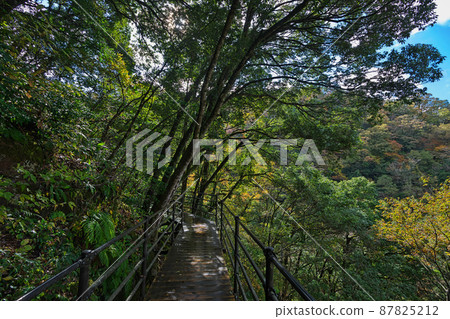 《島根縣》縣立自然公園 魔舌顫抖的風景【11月】 《島根縣》縣立自然公園 魔舌顫抖的風景【11月】 87825212