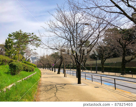 Tokyo Kudan, Kokyo Gaien National Garden Daikancho-dori Tokyo Kudan, Kokyo Gaien National Garden Daikancho-dori 87825403