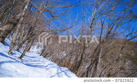 （山梨縣）禦坂黑岳和隆冬的雪山 87825922