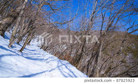 （山梨縣）禦坂黑岳和隆冬的雪山 87825923