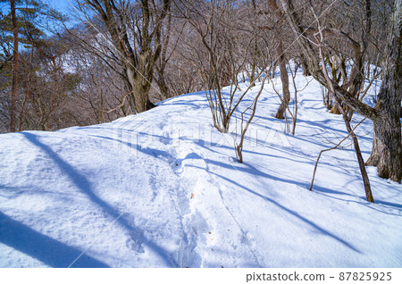 （山梨縣）禦坂黑岳和隆冬的雪山 87825925