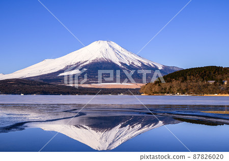 (Yamanashi Prefecture) A spectacular view of Mt. Fuji reflected in Lake Yamanaka in the early morning. 87826020