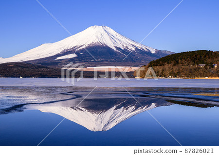 (Yamanashi Prefecture) A spectacular view of Mt. Fuji reflected in Lake Yamanaka in the early morning. (Yamanashi Prefecture) A spectacular view of Mt. Fuji reflected in Lake Yamanaka in the early morning. 87826021