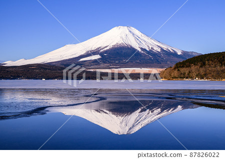 （山梨縣）清晨倒映在山中湖中的富士山的壯麗景色。 87826022