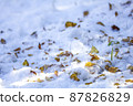 落葉和雪。 87826829