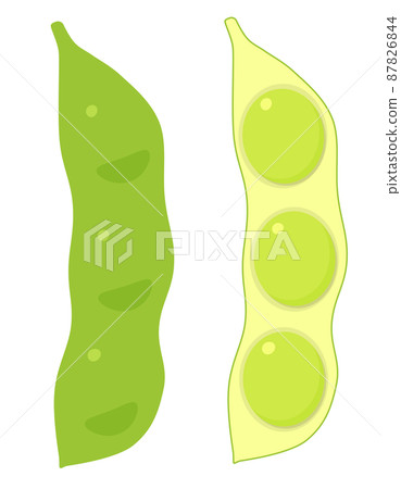 毛豆 毛豆 87826844