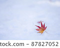 積雪上的秋葉。 87827052
