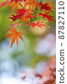 秋天的落葉。 87827110