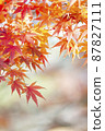 秋天的落葉。 87827111