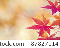 秋天的落葉。 87827114