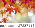 秋天的落葉。 87827115