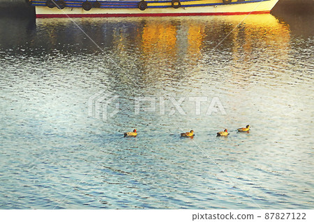 Harbor at dusk and wild birds 87827122