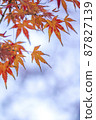 秋天的落葉。 87827139