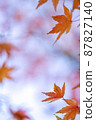 秋天的落葉。 87827140