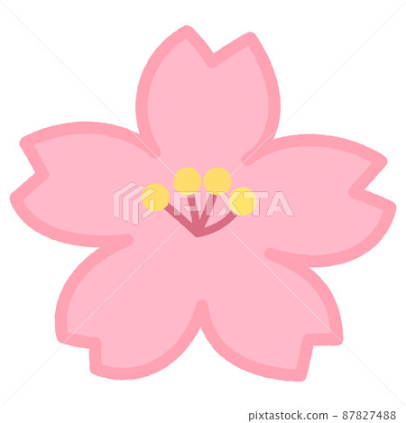 Beautiful cherry blossoms in spring. Cute pink simple petals. Colored lines. Beautiful cherry blossoms in spring. Cute pink simple petals. Colored lines. 87827488