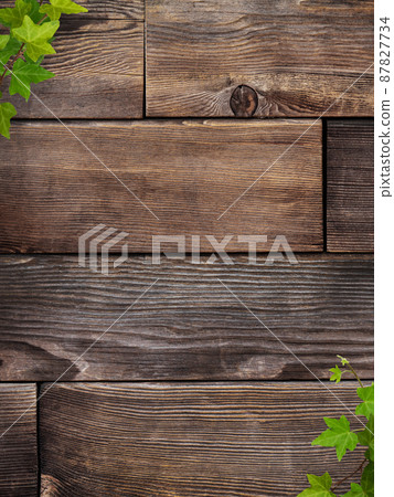 木紋和常春藤的自然本底 87827734
