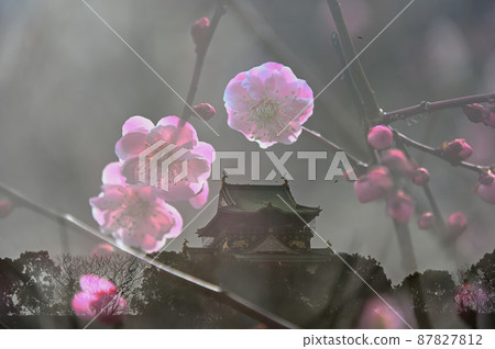 大阪城和梅花 87827812