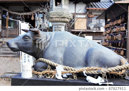 國分天神菅原神社本宮前的信使牛 國分天神菅原神社本宮前的信使牛 87827911