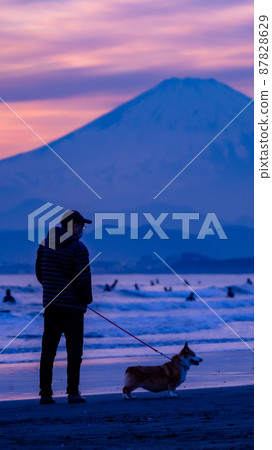 Mt. Fuji from the Shonan coast and a couple with a dog 87828629