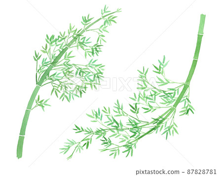 竹水彩素材 87828781