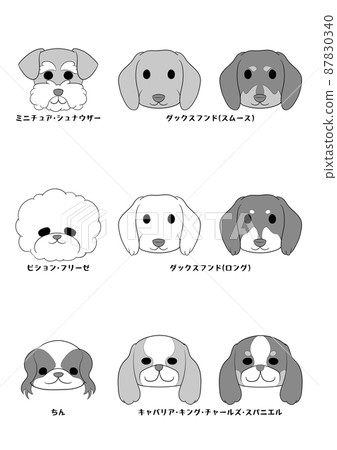 狗的正面 5犬種9犬組 灰度 插圖素材 圖庫