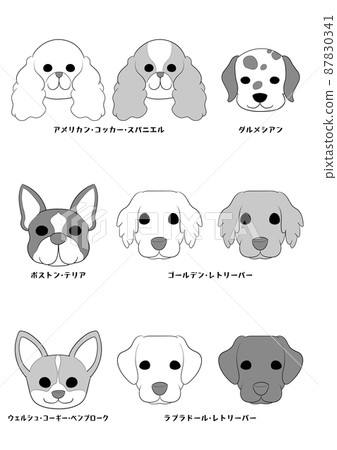 狗的正面)6犬種9犬組)灰度 狗的正面)6犬種9犬組)灰度 87830341