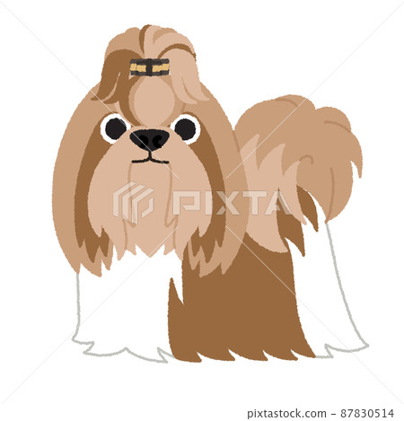 Shih Tzu dog illustration Shih Tzu dog illustration 87830514