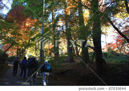 福岡縣的低山“清水山”,秋葉遠足路線 福岡縣的低山“清水山”,秋葉遠足路線 87830644