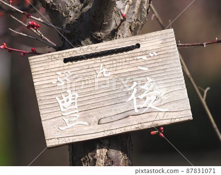 梅樹豐後名牌 87831071