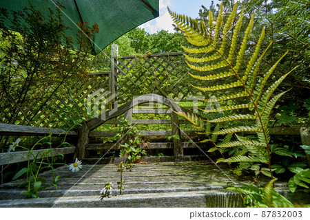 綠色植物和鮮花的寧靜空間 87832003