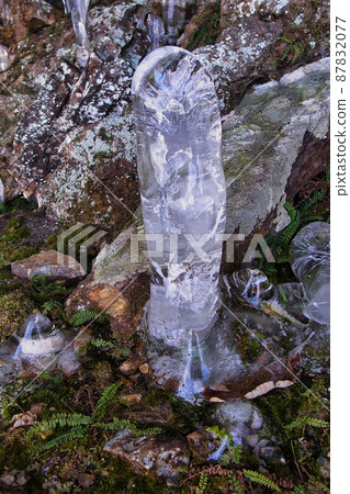 龍山冰筍 87832077