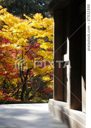 Kongorin-ji Temple Autumn Leaves and Three-storied Pagoda, Echi-gun, Shiga Prefecture 87832898