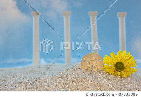 Flower and Sea Shell on Beach With Roman Ruins 87833089