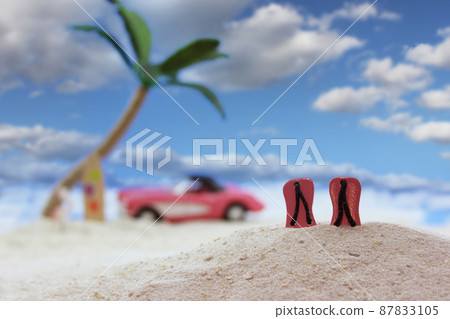 Flip-Flop shoes on Beach With Palm Trees in Background Shallow DOF Flip-Flop shoes on Beach With Palm Trees in Background Shallow DOF 87833105
