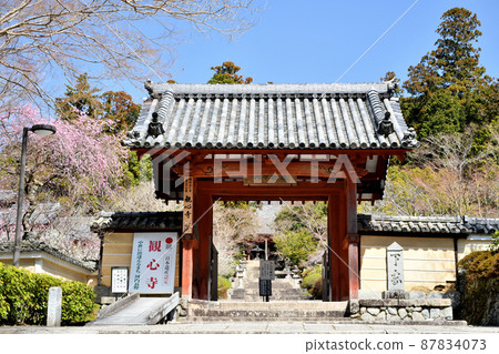 Kanshinji Temple (Sanmon, Weeping Plum) [Kawachinagano City, Osaka Prefecture] 87834073