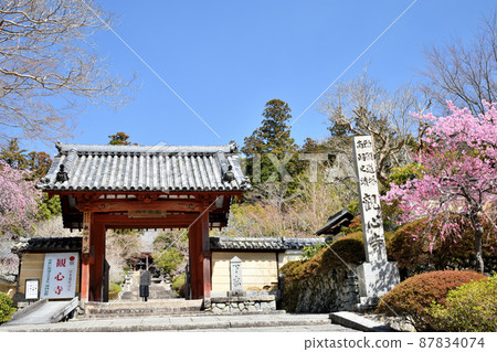 Kanshinji Temple (Sanmon, Weeping Plum) [Kawachinagano City, Osaka Prefecture] 87834074