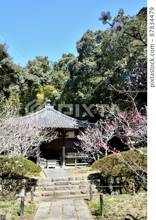 Kanshinji Temple (Ushitakido / Plum Grove) [Kawachinagano City, Osaka Prefecture] 87834479