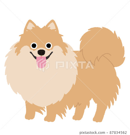 博美犬狗圖 87834562