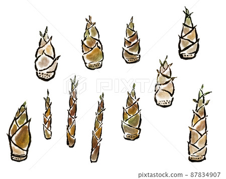 Bamboo shoots, bamboo shoots, bamboo shoots 87834907