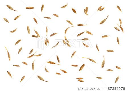 Cumin seed dry from tree basil indian food aroma isolated on white background Cumin seed dry from tree basil indian food aroma isolated on white background 87834976