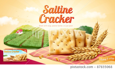Saltine crackers ad template 87835068