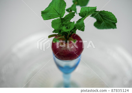 蔬菜紅蘿蔔 蔬菜紅蘿蔔 87835124