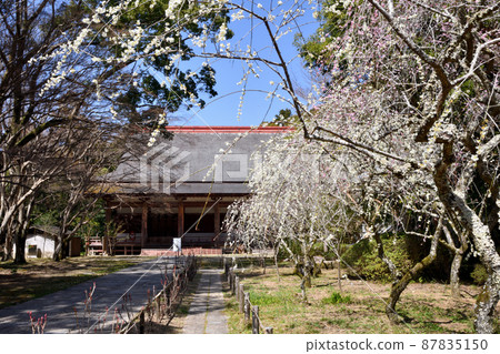 觀心寺(大阪府川內長野市) 觀心寺(大阪府川內長野市) 87835150